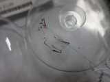 Fleischis Onlinekiste Verpackung